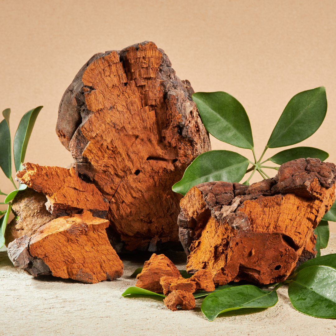 Chaga icon – antioxidant protection
