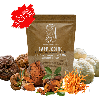 The Coo Coffee mushroom cappuccino with MCT oil, featuring Ganoderma, Lion’s Mane, Cordyceps, and Chaga extracts.